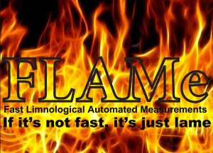 text in front of a roaring fire flame is FLAMe, Fast Limnological Automaded Measurements. If it's not fast, it's just lame